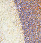 Georges Seurat Detail of Dance oil painting